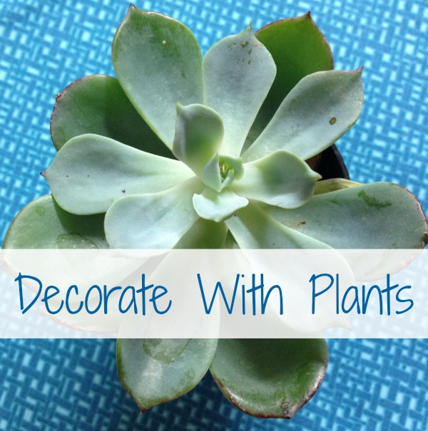 Decorate your Home With Plants - BusyBeingJennifer.com