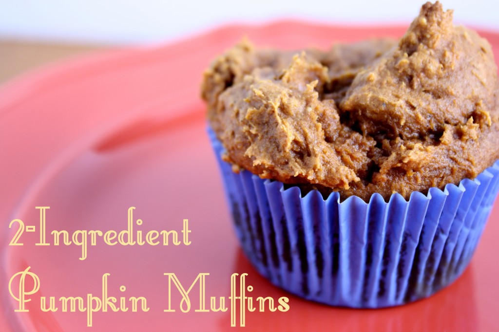 2 ingredient pumpkin muffins. These are Delicious!! - busybeingjennifer.com
