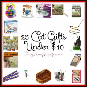 25 Gifts for your Cats! - BusyBeingJennifer.com