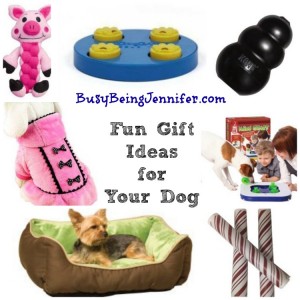 Fun and adorable gift ideas for your dog! - busybeingjennifer.com