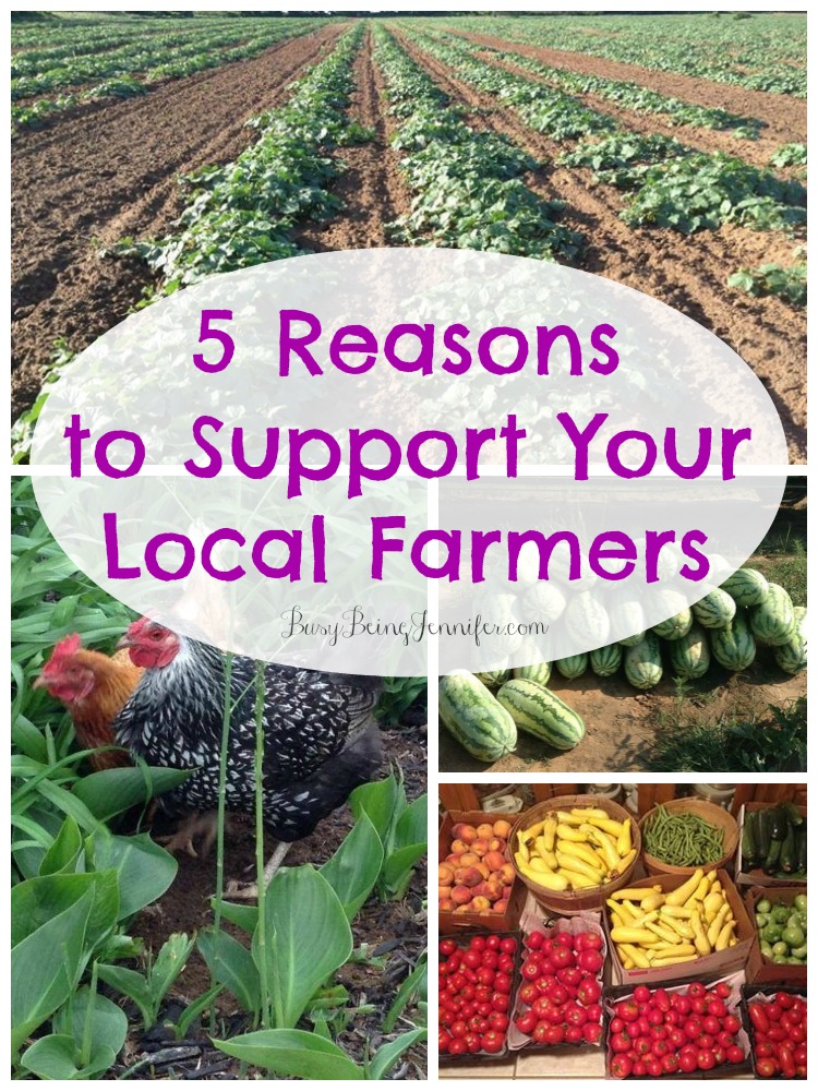 5 Reasons to Support Your Local Farmers - BusyBeingJennifer.com