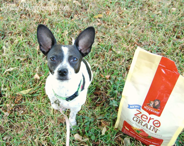 Bitly loves Rachael Ray Nutrish Zero Grain pet food - BusyBeingJennifer.com #ad
