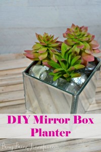 DIY Mirror Box Planter - BusyBeingJennifer.com