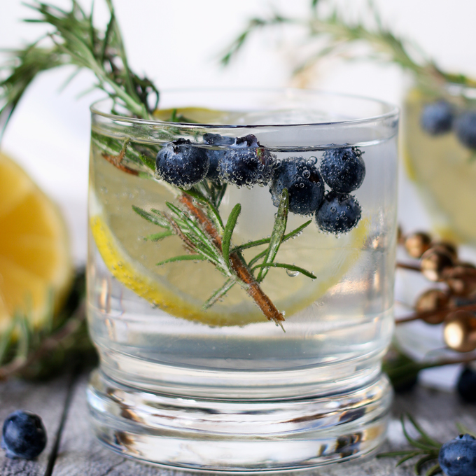 lemon-blueberry-vodka-spritzer-10