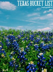 The Best Texas Bucket List - BusyBeingJennifer.com