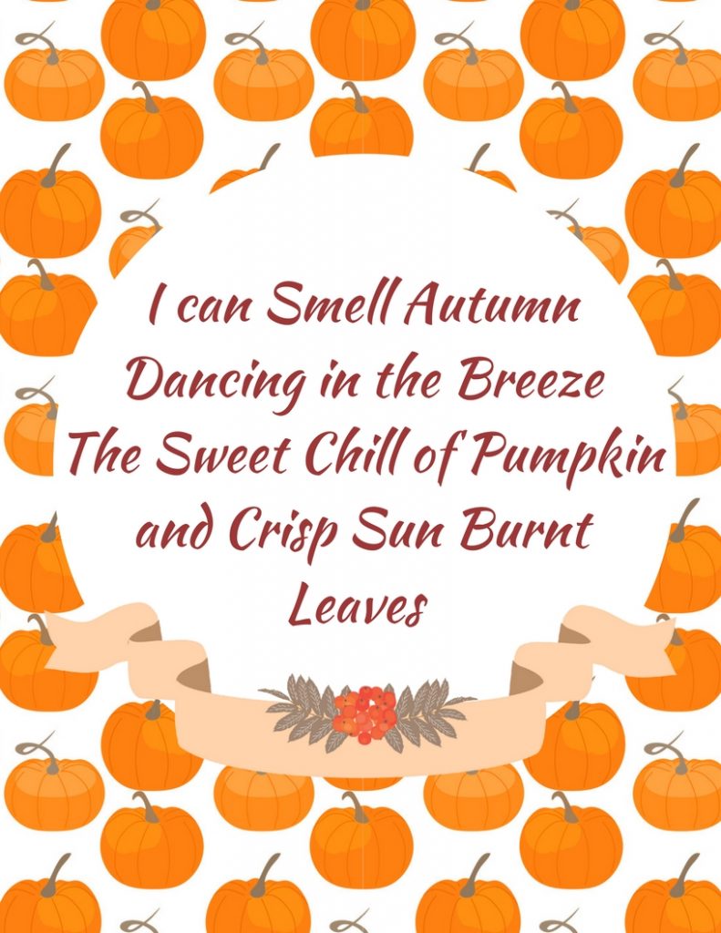 i-can-smell-autumn-dancing-in-the-breeze-the-sweet-chill-of-pumpkinand-crisp-sun-burnt-leaves
