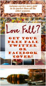 Love Fall? Head over to BusyBeingJennifer.com and grab a free Twitter or Facebook Cover for fall!!