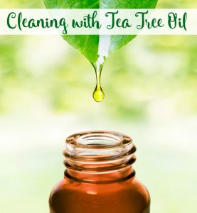 Cleaning with Tea Tree Oil