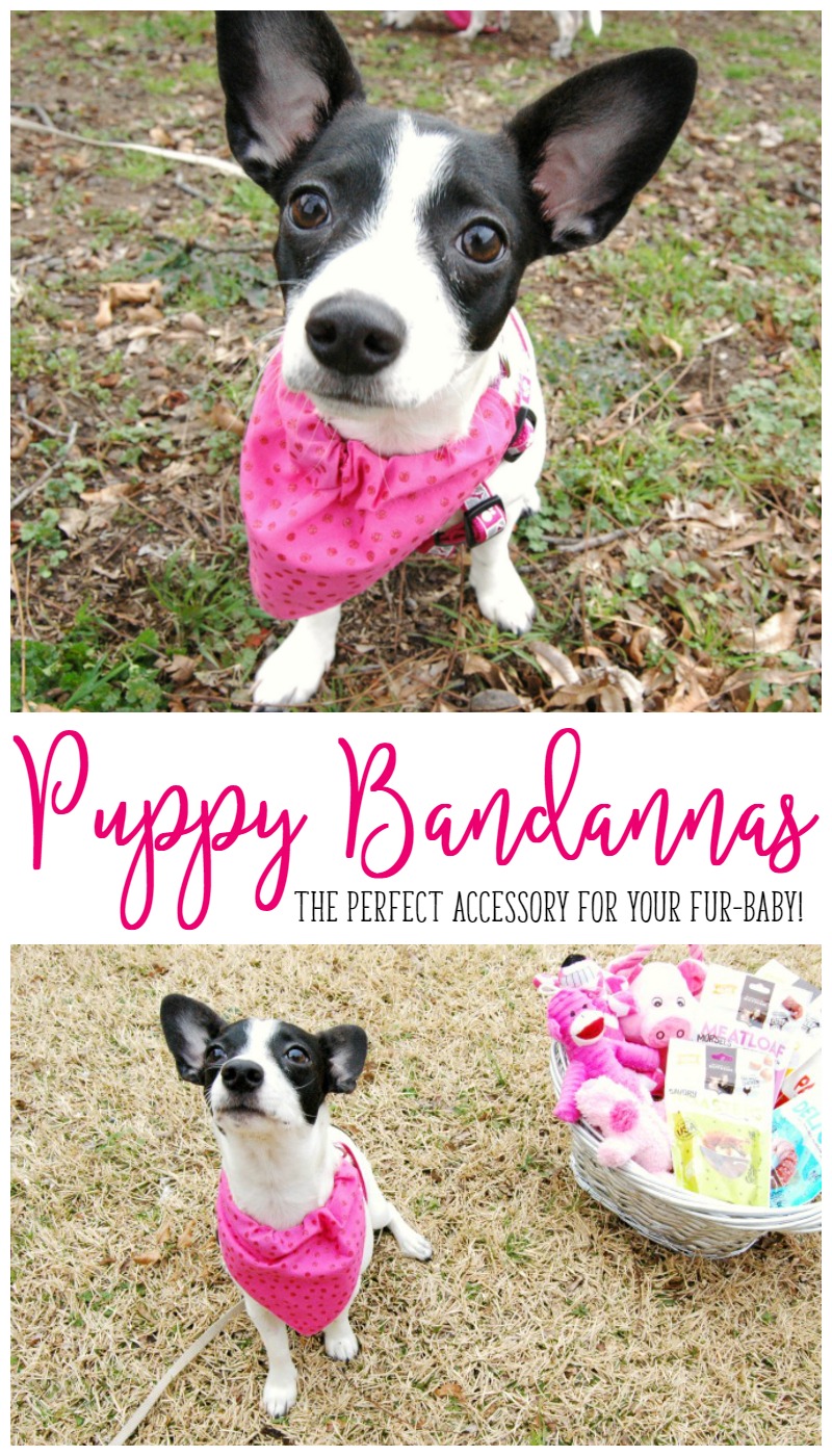 DIY Puppy Bandannas for your Fur-baby! These puppy bandannas are easy to sew, look adorable, and are the perfect project to dress up your dog! Easily change up the fabric to fit the occasion .