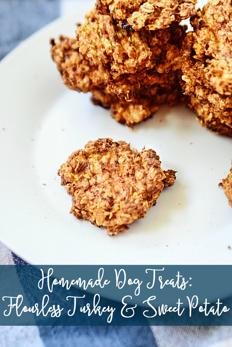 When it comes to my furbabies, giving the best of everything is pretty important to me! That includes their treats... so that means that sometimes I have to make those treats myeslf! They LOVE their homemade dog treats! 