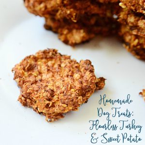 Homemade Dog Treats: Flourless Turkey and Sweet Potato