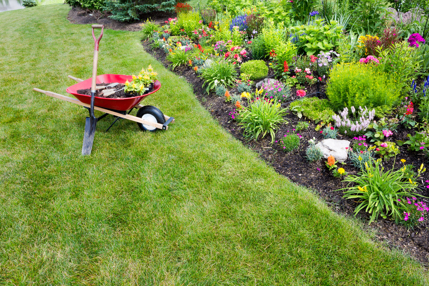 Budget-Friendly Landscaping Tips That Will Help Sell Your Home