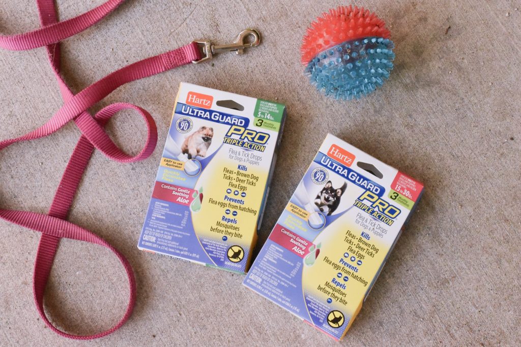We've got some summer plans, my furbabies and I! I even formulated a bit of a summer bucket list to help us formulate our summer adventures & plans! And thanks to Hartz® UltraGuard Pro® the pups are protected from any pesky pests we may encounter! [ad]!