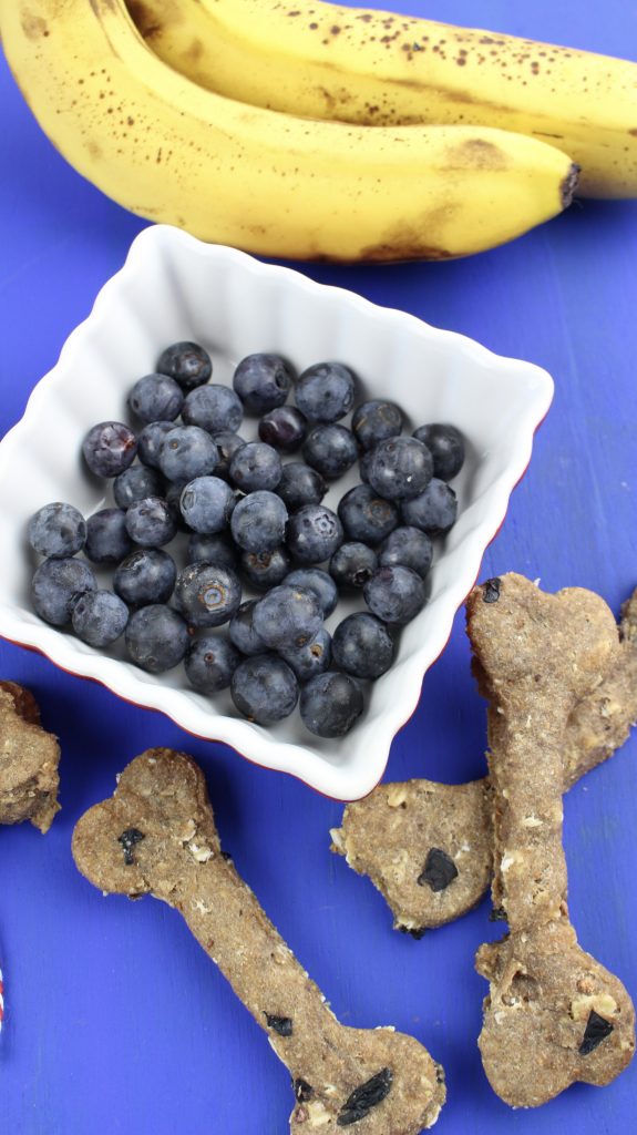 These blueberry and banana dog biscuits are tasty and full of healthy ingredients, and a hit with my pups! Read on for this easy recipe for your furbabies!