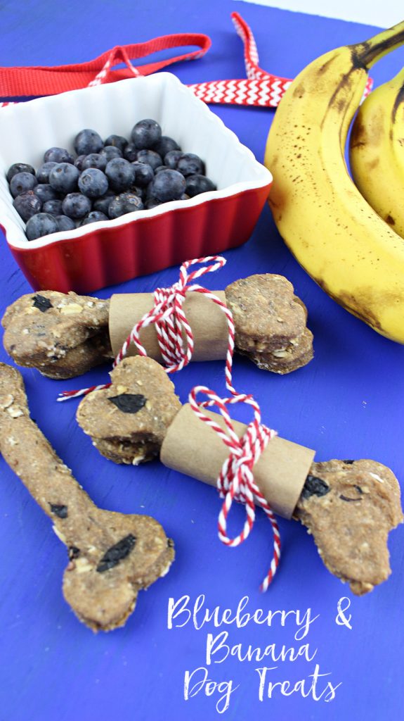 These blueberry and banana dog biscuits are tasty and full of healthy ingredients, and a hit with my pups! Read on for this easy recipe for your furbabies!