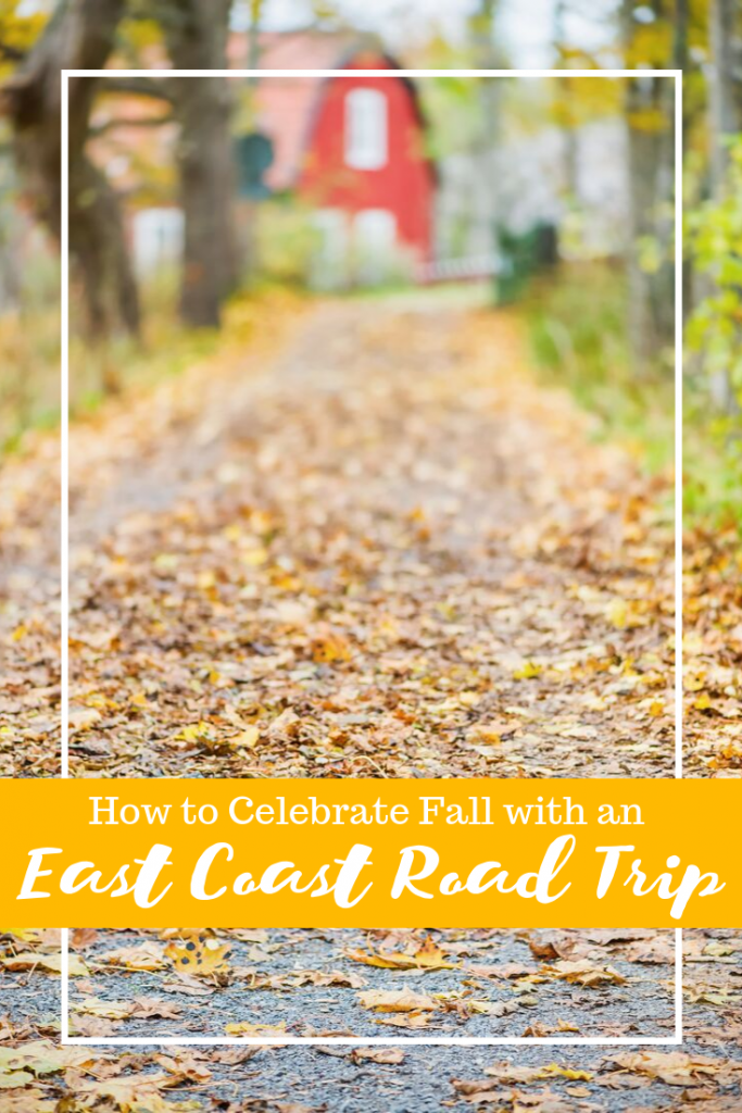 The cool crisp air, with the smell of the ocean and the hillsides covered in autumn leaves, describes perfectly, an East Coast road trip that will arouse the senses. 