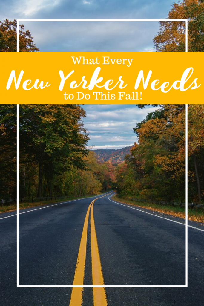 what every New Yorker needs to do this fall: If you live in the state of New York, be warned! There’s an overabundance of things for you to do with your family.