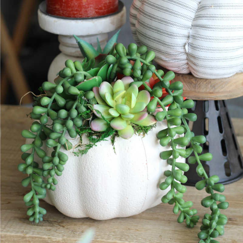 This Faux Succulent Pumpkin Planter is a fun and easy farmhouse craft! It is perfect for adding to your fall decor this season!