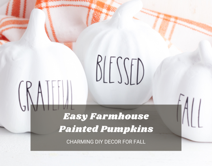 Easy Farmhouse Painted Pumpkins
