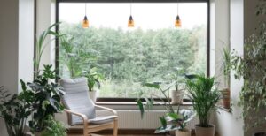 A minimally decorated home with plants hovering the large window and white chair. There are more plants outside the window.