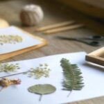 Pressed flowers and leaves arranged on white paper beside a wooden frame, scissors, and pencils on a wooden surface.