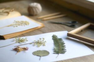 Pressed flowers and leaves arranged on white paper beside a wooden frame, scissors, and pencils on a wooden surface.