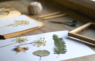 Pressed flowers and leaves arranged on white paper beside a wooden frame, scissors, and pencils on a wooden surface.
